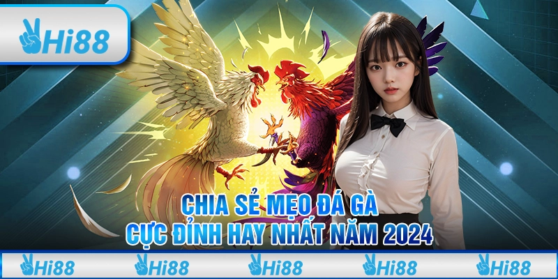 Chia Sẻ Mẹo Đá Gà Cực Đỉnh Hay Nhất Năm 2024