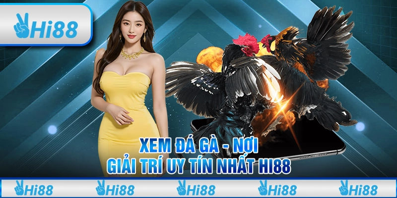 Xem đá gà - Nơi giải trí uy tín nhất Hi88 1 Xem đá gà - Nơi giải trí uy tín nhất Hi88