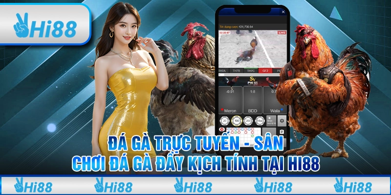 Đá gà trực tuyến - Sân chơi đá gà đầy kịch tính tại Hi88