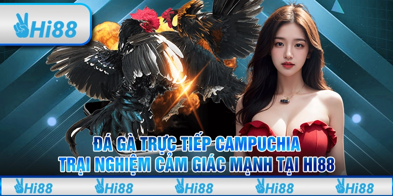 Đá gà trực tiếp campuchia - Trải nghiệm cảm giác mạnh tại hi88
