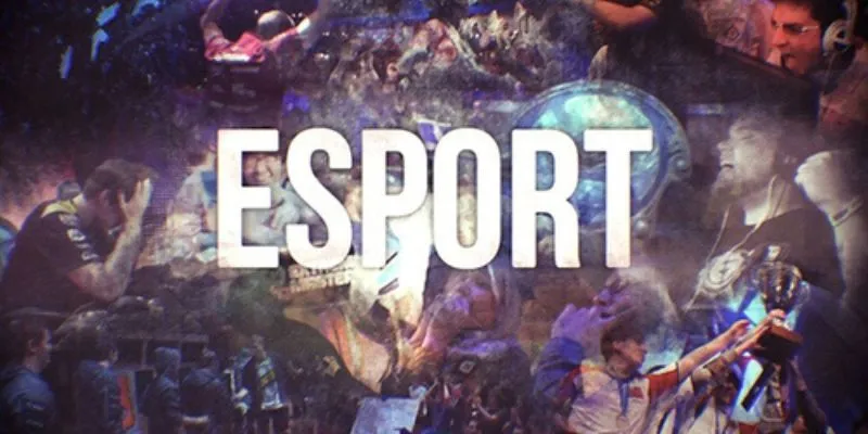 Khái niệm cơ bản về trang cá cược