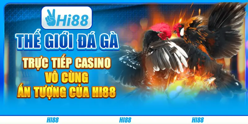 Thế giới đá gà trực tiếp casino vô cùng ấn tượng của hi88