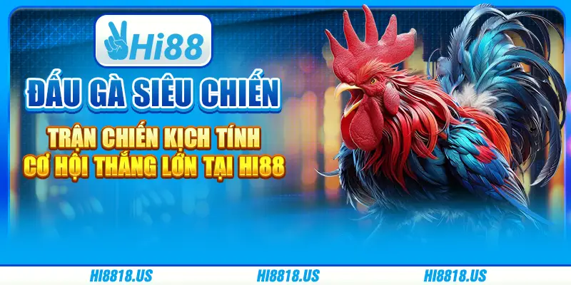 Đấu gà siêu chiến - trận chiến kịch tính, cơ hội thắng lớn tại hi88