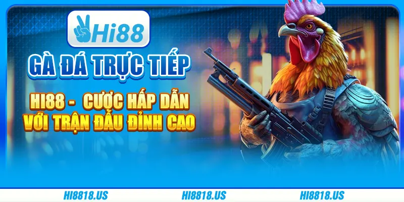 Gà Đá Trực Tiếp Hi88 - Cược Hấp Dẫn Với Trận Đấu Đỉnh Cao