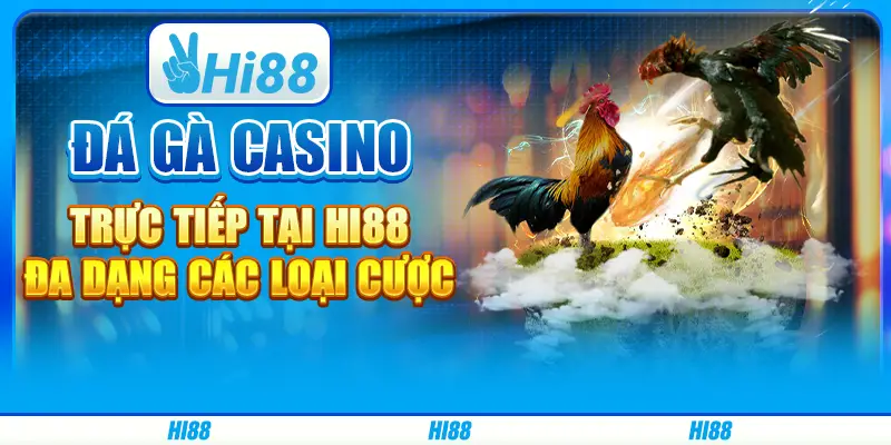 Đá gà casino trực tiếp tại hi88 - Đa dạng các loại cược