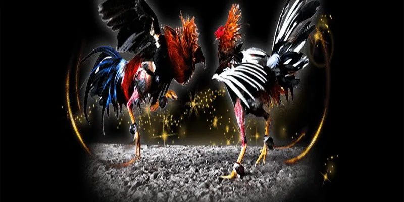 Theo dõi sát diễn biến trận đấu để đưa ra quyết định đúng đắn.