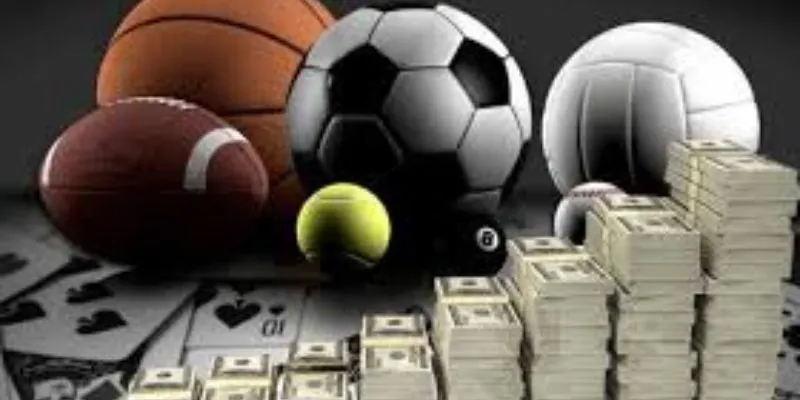 Học hỏi từ cao thủ cá cược để nâng cao kỹ năng