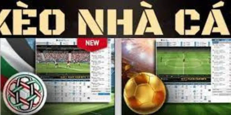 Giải Mã Kèo Nhà Cái - Cùng Hi88 Tìm Hiểu Kỹ Để Thắng 4 Thời điểm đặt cược đúng mang lại lợi thế lớn.