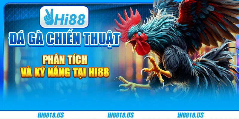 Đá Gà Chiến Thuật - Phân Tích Và Kỹ Năng Tại Hi88 1 Đá Gà Chiến Thuật - Phân Tích Và Kỹ Năng Tại Hi88