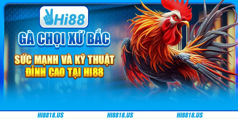 Gà Chọi Xứ Bắc - Sức Mạnh Và Kỹ Thuật Đỉnh Cao Tại Hi88