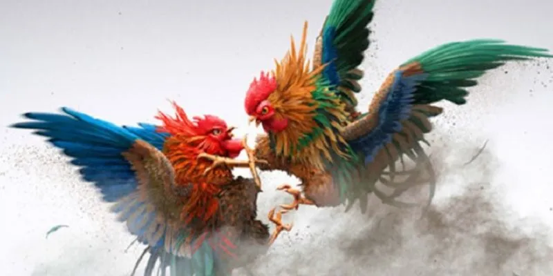 Phân tích phong độ chiến kê giúp đặt cược chính xác