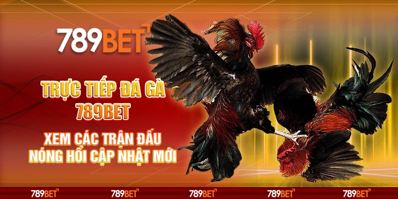 Trực Tiếp Đá Gà - Xem Các Trận Đấu Nóng Hổi Cập Nhật Mới 4 25 truc tiep da ga 789bet xem cac tran dau nong hoi cap nhat moi