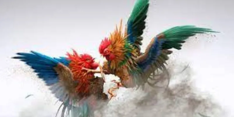 Cách phân tích chiến kê hiệu quả