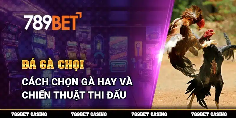 Đá Gà Chọi