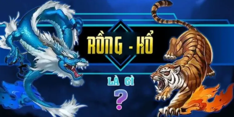 Thông tin cơ bản về game Rồng Hổ