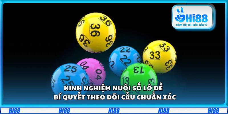 Kinh nghiệm nuôi số lô đề – Bí quyết theo dõi cầu chuẩn xác